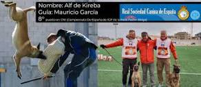 Hotel para perros en Valladolid Canuber – Tiendas de mascotas ...