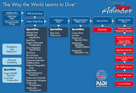 Padi Speciality Courses Cyprus Diving Padi With A Difference