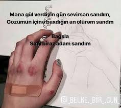 Aliaga Aliyev Adli Kullanicinin Ela Panosundaki Pin Ozlu Sozler