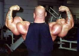 Image result for biggest biceps in world
