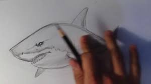 Pin On Easy Drawings 101