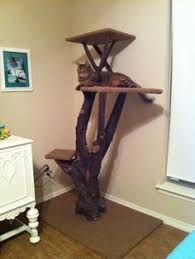 Making Cat Furniture From Logs And Branches Google Search Wooden Cat Tree Diy Cat Tree Cool Cat Trees