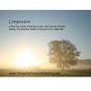 How is hospice care adapting to this new landscape? 1
