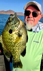 Lake Havasu fishing experience and catching quality fish