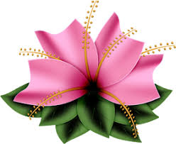 Marcos Para Photoshop Y Algo Mas Renders Para Marcos Carpetas Decoradas Clipart De Flor Arte Con Flores