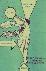 Pin De Jo Gawler Em Art Inspiration Ciencia Espiritual Espiritualidade Meditacao