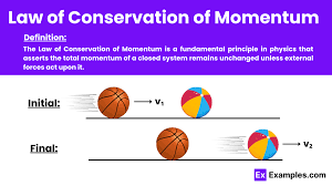 Law of Conservation of Momentum - Examples, Definition, FAQ'S