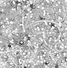 Whitepages is a residential phone book you can use to look up individuals. Printable Fractal Coloring Pages
