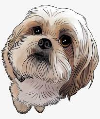 Google Image Result For Https Www Seekpng Com Png Detail 58 585871 Puppy Drawing Shih Tzu Shih Tzu Cartoon Png Dog Paintings Dog Portraits Dog Art
