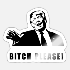Please please nooo tyrese gibson meme format. Donald Trump Bitch Please Meme Sticker Spreadshirt