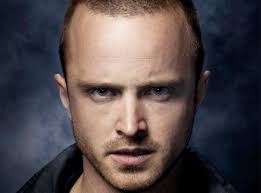 Fondos de pantalla : Aaron Paul, actor, cara, barba 2048x1366