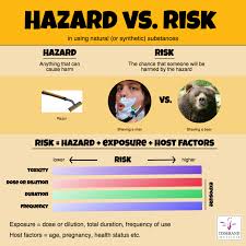Image Result For Hazard Vs Risk Health And Safety Poster Are Essential Oils Safe Essential Oil Safety