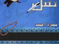 Nimra Ahmed Quotes Namal Novel Urdu Novels Novels
