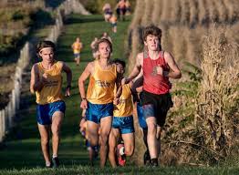 Strasburg's Cadle wins boys county title
