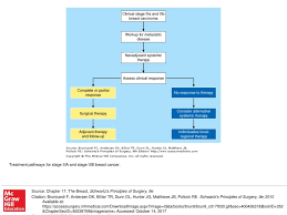 Although it is the most commonly diagnosed cancer in american women, breast cancer can impact people of all genders. Treatment Pathways For Stage Iiia And Stage Iiib Breast Cancer Ppt Download
