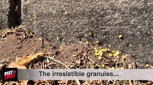 Just shake it and spray it! Pestxpert Nest Kill Ant Bait Pestxpert