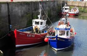 We are specialist manufacturers of charter boats, dive boats and recreational sports fishing boats with all boats built to your design, layout and requirements. A Guide To Finding The Best Boat Names Wanderwisdom