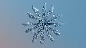 Des milliers de nouvelles images de grande qualité ajoutées chaque jour. Photo Des Flocons Tous Differents