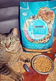 We may earn commission on some of the items you choose to buy. Shop Purina One True Instinct Cat Food Natural Grain Free Chicken And More Instinct Cat Food Purina Cats