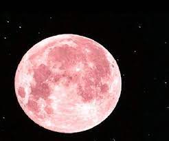 The moon and its effect on the earth. Super Flower Moon 2020 Horoscope Predictions For Aries Taurus Gemini Cancer Leo Virgo And Other Zodiac Signs