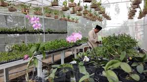 Bunga cantik yang punya bermacam warna ini berasal dari negeri cina. Destinasi Wisata Baru Di Kota Batu Isinya Ratusan Jenis Anggrek Cantik Malangvoice