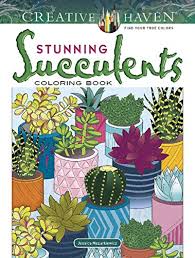 Cacti and succulents are ideal houseplants, needing little care and providing unusual and colourful displays. 11 Of The Best Succulent Books In 2021