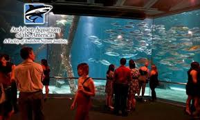 The audubon aquarium of the americas is an aquarium in new orleans, louisiana, united states. 9 For Audubon Aquarium Admission Audubon Aquarium Of The Americas Groupon