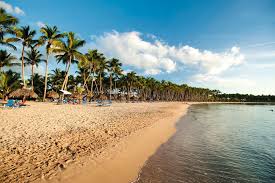 Image result for Beige Sand 1982 Fleet