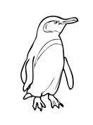We worked in collaboration with creecha kids to create a workbook celebrating all 18 species of penguins and the actions you can take to help them. Pin On Kids Coloring Pages