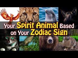 We did not find results for: Your Spirit Animal Based On Your Zodiac Sign Aries Leo Virgo Libra Aquarius Cat Dog Pet Co Youtube