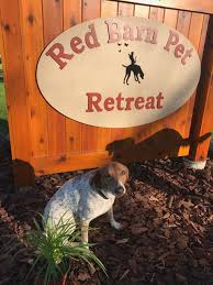 Red barn 24/7 in home daycare is a family child care home ii in mitchell ne, with a maximum capacity of 12 children. Red Barn Pet Retreat Is Minnesota S Best Upscale Pet Hotel And Dog Daycare Option Located In The Northwest Metro On A Scenic Hobby Pet Hotel Dog Daycare Pets