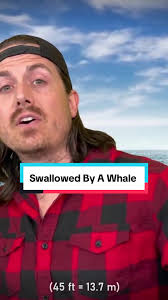 Swallowed By A Whale