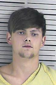 Deputies arrest 2 in connection with Fowlkes burglaries