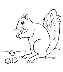By best coloring pagesaugust 10th 2013. Squirrel Coloring Page Art Starts