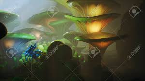 Find this & other fantasy options on the unity asset store. Fantasy Mushrooms In A Magic Forest Beautiful Magic Mushrooms Stock Photo Picture And Royalty Free Image Image 122594814