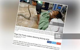 It is relatively flat and has numerous obstructions and traps. Raja Ular Perlis Sedar Dari Koma