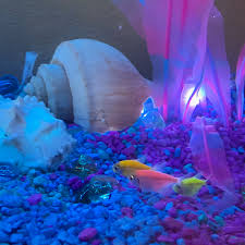 Sale uv sterilizer lamp light ultraviolet filter, aliexpress com buy uv lamp aquarium lights for aquarium, diy aquarium led lights youtube, diy led aquarium lighting kits lighting ideas, free shipping submersible uv water sterilizer clarifier. Uv Erinstblaine