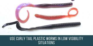 Learning how to fish with plastic worms can be tough for many people because you have to go slow. Plastic Worms For Bass Fishing Plastic Worms Bass Fishing Tips Fishing Tips