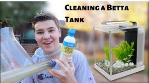 Empty the betta tank and rinse everything off (substrate, decorations, etc.) under running water, then put everything back into the tank. How To Clean A Betta Fish Tank Youtube