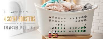 Lavender scent the best smelling laundry combo is this natural and organic package from the good home, which is free of the artificial optical brighteners in other detergents. Using Essential Oils For Great Smelling Laundry Young Living Essential Oils