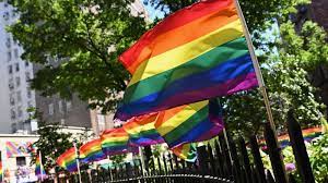 Louie gohmert, rick crawford and brian mast are the latest house republicans to cosponsor the bill, which also targets blm flags. Utah High School Football Players Could Be In Trouble For Burning Pride Flag In Video Abc News