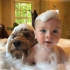 Richard Myler Obituary (~ 2013 ~)