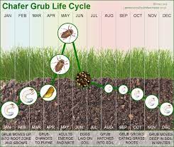 Pin On Outdoor Space