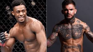 Последние твиты от aljamain sterling (@funkmastermma). Aljamain Sterling And Cody Garbrandt Trade Blows Apmma Net