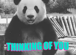 Trending Gif Panda Thinking Of You Thinking Of You Panda Panda Cool Gifs Netflix Tv Shows