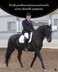 Heartland Horse Farm added a new photo.