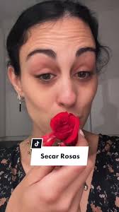 Como Conservar Una Rosa En Sal
