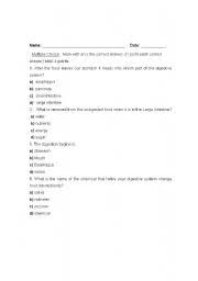 A lot of individuals admittedly had a hard t. Digestive System Quiz Esl Worksheet By Diagarsa
