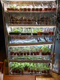 Sproutsandstuff Tips For Successful Indooor Seed Starting Indoor Vegetable Gardening Indoor Seed Starting Garden Seed Starting
