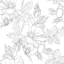 Black And White Floral Peel And Stick Wallpaper Latitude Run Huyett Removable Peel And Stick Wallpaper Panel Size 24 W X 126 L Peel Stick Wallpaper Wallpaper Panels Wallpaper Roll